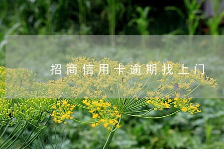 招商信用卡逾期找上门 招商信用卡逾期找上门