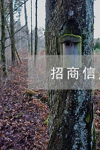 招商信用卡逾期报案怎么办 招商信用卡逾期报案怎么办