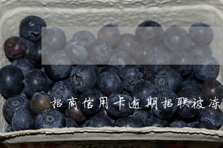 招商信用卡逾期招联被冻结 招商信用卡逾期招联被冻结