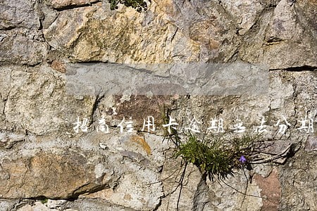招商信用卡逾期无法分期怎么办 招商信用卡逾期无法分期怎么办