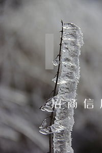 招商信用卡逾期最后还是同意分期