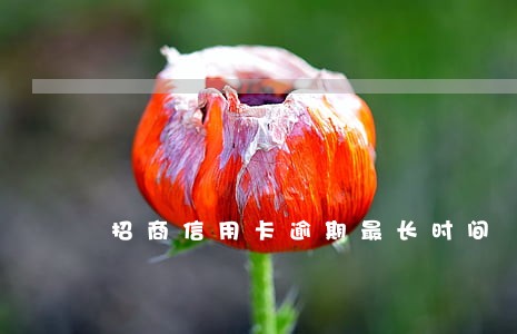 招商信用卡逾期最长时间 招商信用卡逾期最长时间