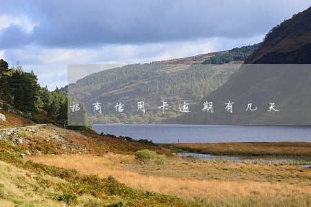 招商信用卡逾期有几天 招商信用卡逾期有几天