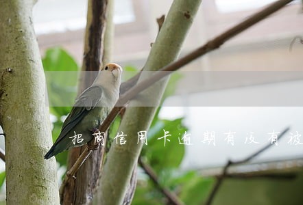 招商信用卡逾期有没有被报警的