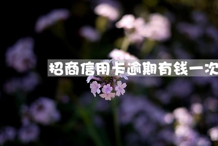 招商信用卡逾期有钱一次性还清 招商信用卡逾期有钱一次性还清
