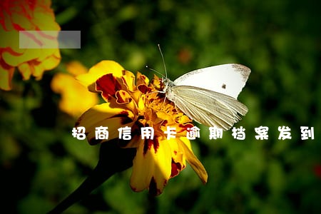 招商信用卡逾期档案发到户籍地了 招商信用卡逾期档案发到户籍地了