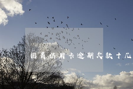 招商信用卡逾期欠款十几万 招商信用卡逾期欠款十几万