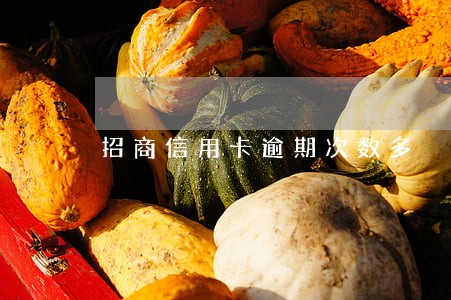 招商信用卡逾期次数多