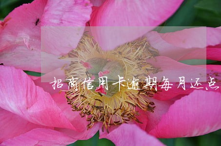 招商信用卡逾期每月还点可以吗 招商信用卡逾期每月还点可以吗