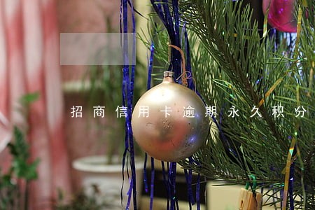 招商信用卡逾期永久积分清零