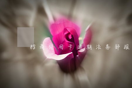 招商信用卡逾期法务部报案 招商信用卡逾期法务部报案