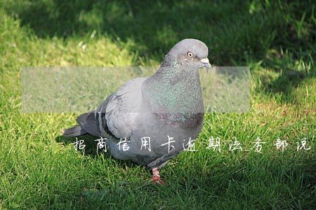 招商信用卡逾期法务部说寄信函