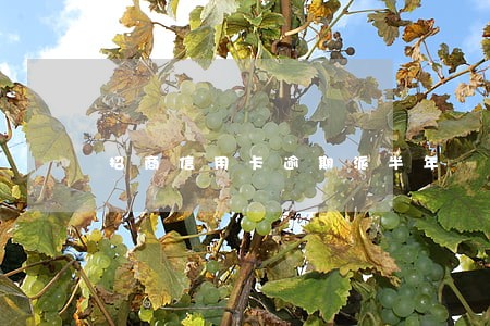 招商信用卡逾期派半年 招商信用卡逾期派半年