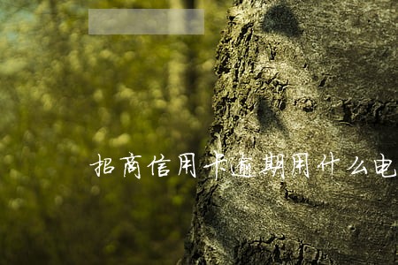 招商信用卡逾期用什么电话催