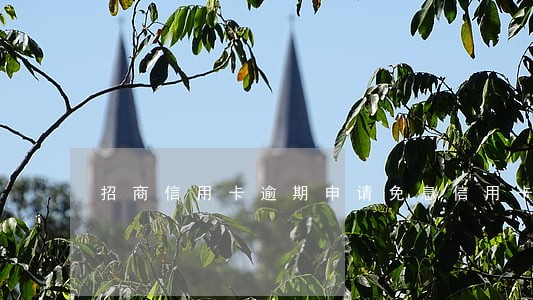招商信用卡逾期申请免息信用卡 招商信用卡逾期申请免息信用卡
