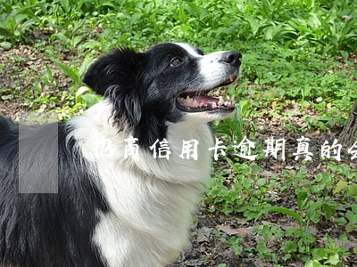 招商信用卡逾期真的会上门吗 招商信用卡逾期真的会上门吗