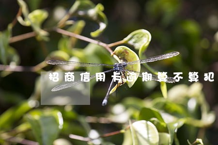 招商信用卡逾期算不算犯罪 招商信用卡逾期算不算犯罪