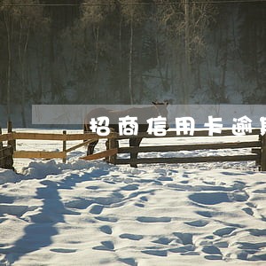 招商信用卡逾期经侦传唤 招商信用卡逾期经侦传唤