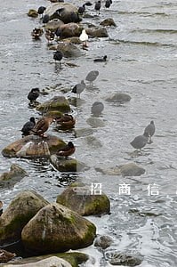 招商信用卡逾期给家里人说上门 招商信用卡逾期给家里人说上门
