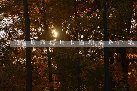 招商信用卡逾期联系户籍地 招商信用卡逾期联系户籍地
