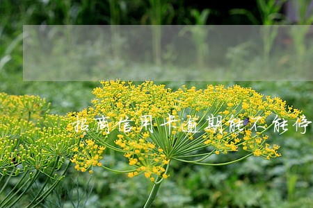 招商信用卡逾期能不能停息挂账了 招商信用卡逾期能不能停息挂账了