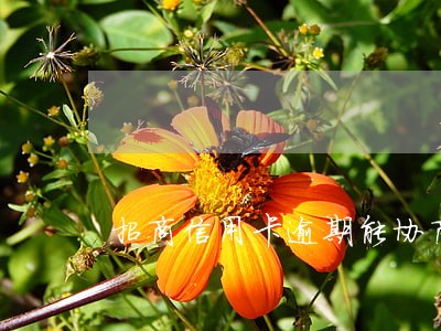 招商信用卡逾期能协商 招商信用卡逾期能协商