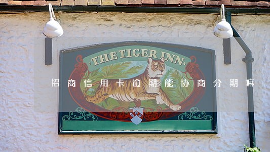 招商信用卡逾期能协商分期嘛 招商信用卡逾期能协商分期嘛