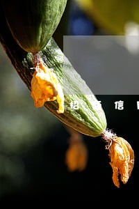 招商信用卡逾期能协商还本金吗 招商信用卡逾期能协商还本金吗