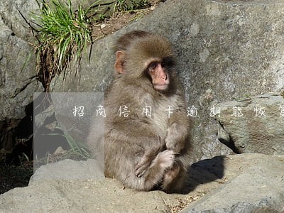招商信用卡逾期能恢复 招商信用卡逾期能恢复