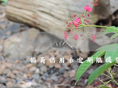招商信用卡逾期能提前还款吗 招商信用卡逾期能提前还款吗