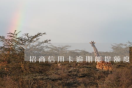 招商信用卡逾期能提额度吗 招商信用卡逾期能提额度吗