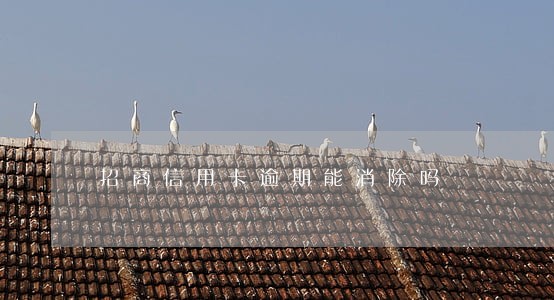 招商信用卡逾期能消除吗 招商信用卡逾期能消除吗
