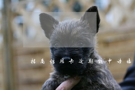 招商信用卡逾期能申请临时额度吗 招商信用卡逾期能申请临时额度吗