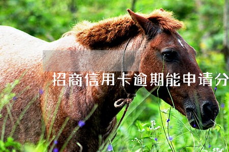 招商信用卡逾期能申请分期吗