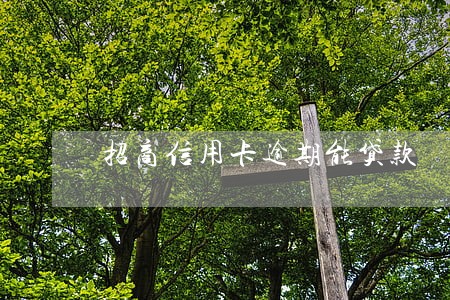 招商信用卡逾期能贷款 招商信用卡逾期能贷款