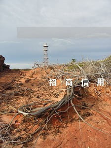 招商信用卡逾期补卡 招商信用卡逾期补卡