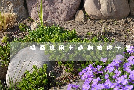 招商信用卡逾期被停卡怎么恢复 招商信用卡逾期被停卡怎么恢复