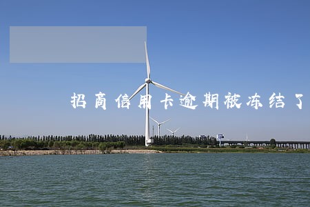招商信用卡逾期被冻结了怎样解冻 招商信用卡逾期被冻结了怎样解冻
