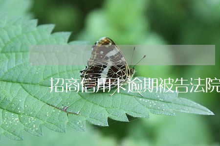 招商信用卡逾期被告法院要去吗 招商信用卡逾期被告法院要去吗