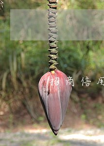 招商信用卡逾期被封如何开卡