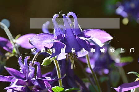招商信用卡逾期被找上门 招商信用卡逾期被找上门