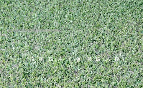 招商信用卡逾期被风控 招商信用卡逾期被风控