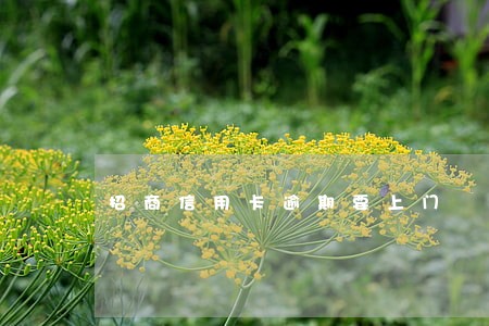 招商信用卡逾期要上门