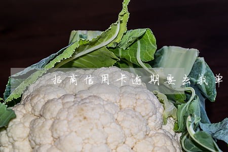 招商信用卡逾期要去我单位