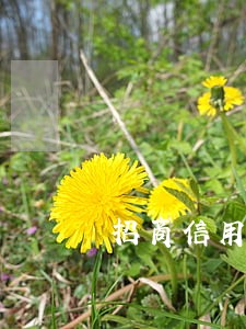 招商信用卡逾期要立案怎么办 招商信用卡逾期要立案怎么办