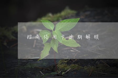 招商信用卡逾期解锁