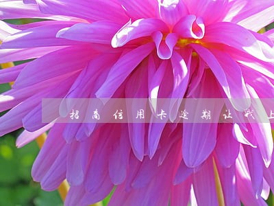 招商信用卡逾期让我上传户口本