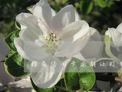 招商信用卡逾期让打电话 招商信用卡逾期让打电话