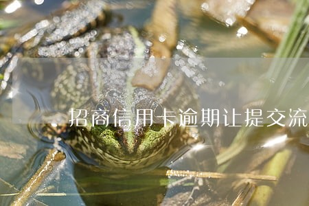 招商信用卡逾期让提交流水 招商信用卡逾期让提交流水