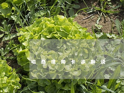 招商信用卡逾期说 招商信用卡逾期说